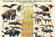 Concept History of Life
