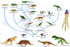 Concept History of Mesozoic Life