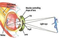 Concept How the Eye Works