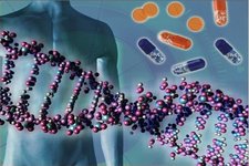 Concept Human Genetics and Biotechnology