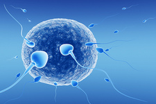Concept Human Sperm