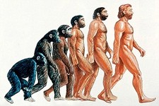 Concept Humans and Primates