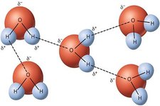 Concept Hydrogen Bonding