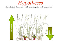 Concept Hypothesis