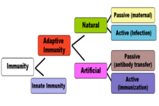 Concept Immunity