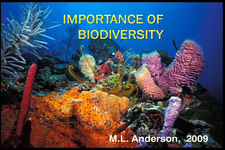 Concept Importance of Biodiversity