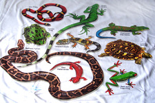 Concept Importance of Reptiles