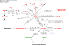Concept Inflammatory Response