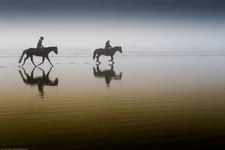 Concept Law of Reflection