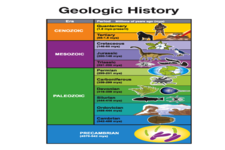 Concept Life and the Geologic Time Scale