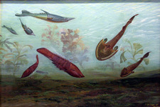 Concept Life During the Paleozoic