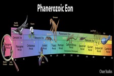 Concept Life of the Phanerozoic Eon
