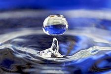 Concept Liquids