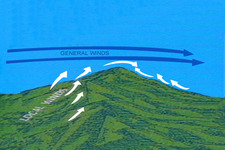 Concept Local Winds