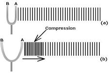 Concept Longitudinal Wave