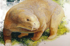 Concept Mammal Ancestors