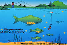 Concept Mercury Pollution