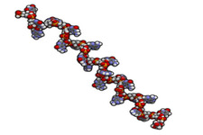 Concept Metabolism and Replication