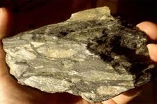 Concept Metamorphic Rocks