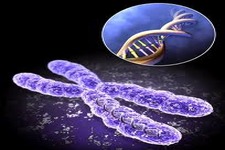 Concept Modern Genetics