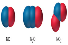 Concept Molecular Compounds