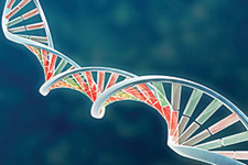Concept Molecular Genetics