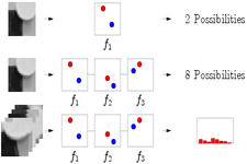 Concept Multinomial Distributions