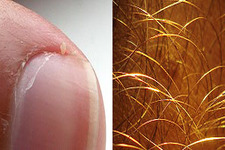 Concept Nails and Hair