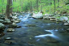 Concept Natural Resources