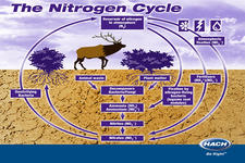 Concept Nitrogen Cycle