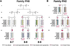 Concept Non-Mendelian Inheritance in Humans