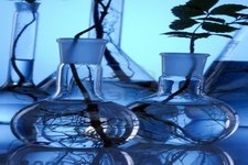 Concept Observations and Experiments