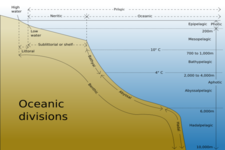 Concept Oceanic Pressure