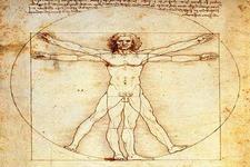 Concept Organization of the Human Body