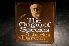 Concept Origin of Species