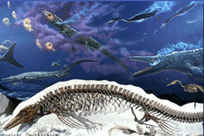 Concept Paleozoic and Mesozoic Seas