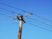 Concept Parallel and Skew Lines