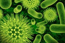Concept Pathogens