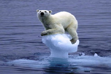 Concept Polar Climates