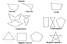 Concept Polygon Classification in the Coordinate Plane