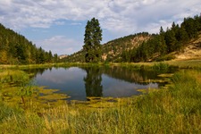Concept Ponds and Lakes