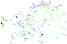 Concept Population Genetics