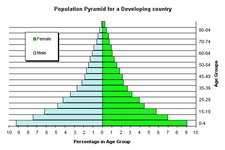 Concept Population Structure
