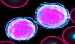 Concept Principles of Biology