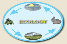 Concept Principles of Ecology