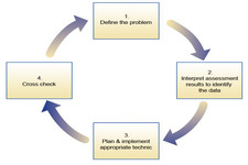 Concept Problem Solving Plan, Diagrams