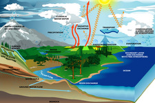 Concept Processes of the Water Cycle