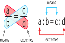 Concept Proportions with Variable in the Denominator