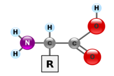 Concept Proteins