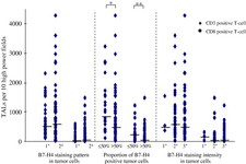 Concept Rank Sum Test and Rank Correlation